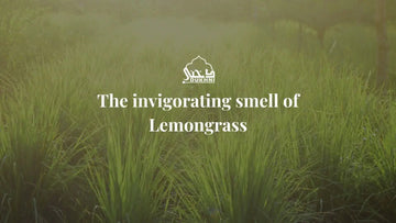 The invigorating smell of Lemongrass