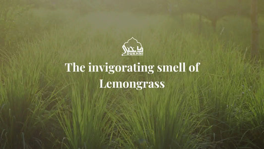 The invigorating smell of Lemongrass