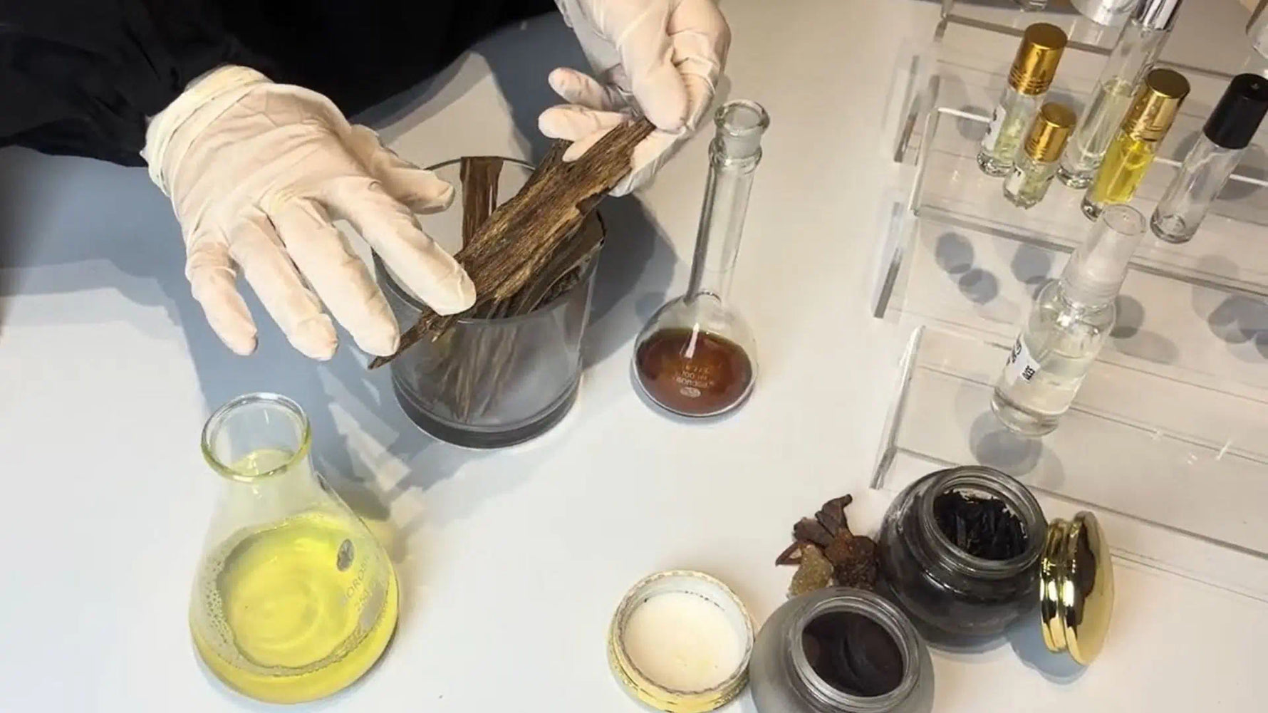 Sustaiably sourced agarwood - IN