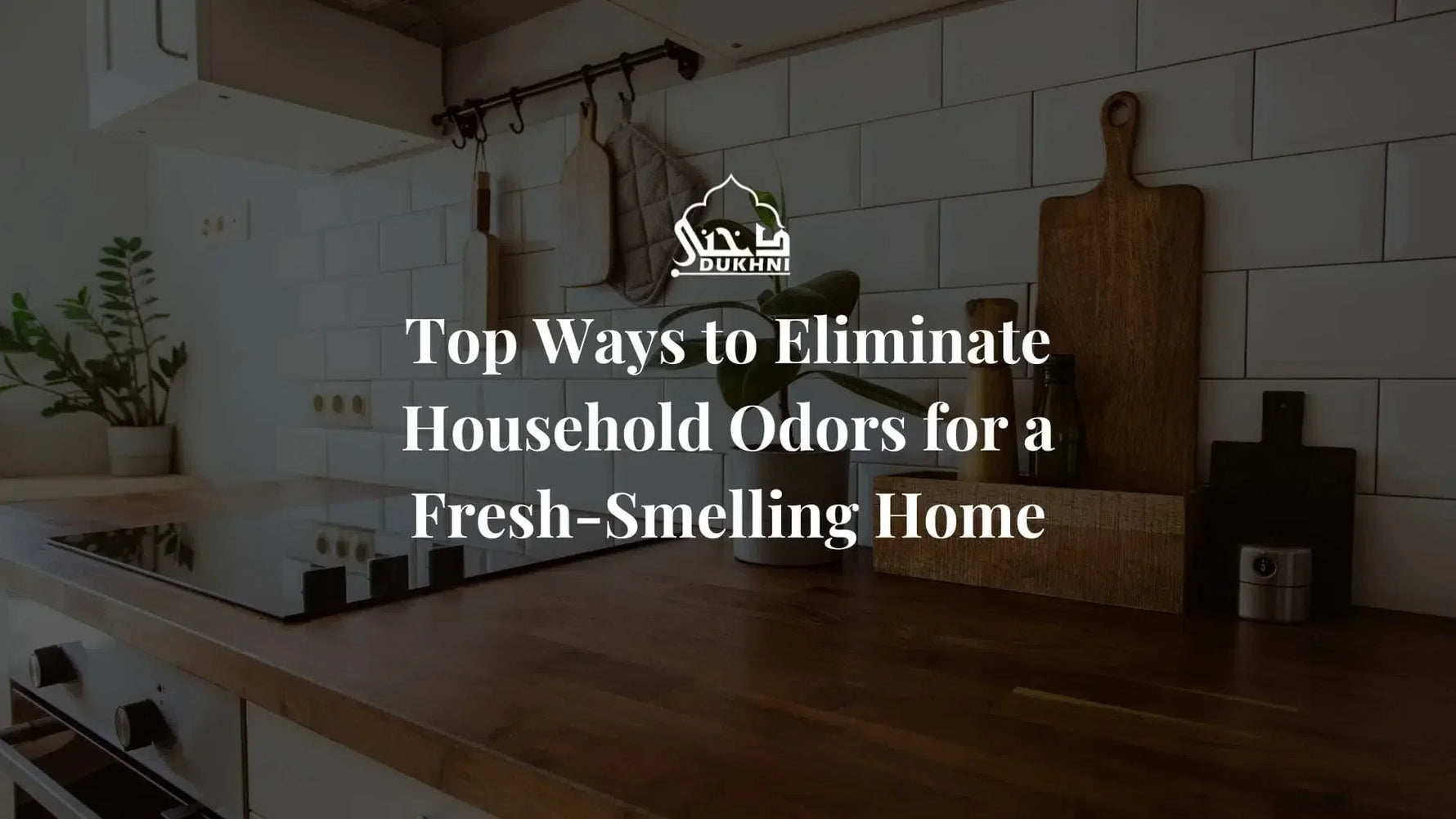 Top Ways to Eliminate Household Odors for a Fresh-Smelling Home