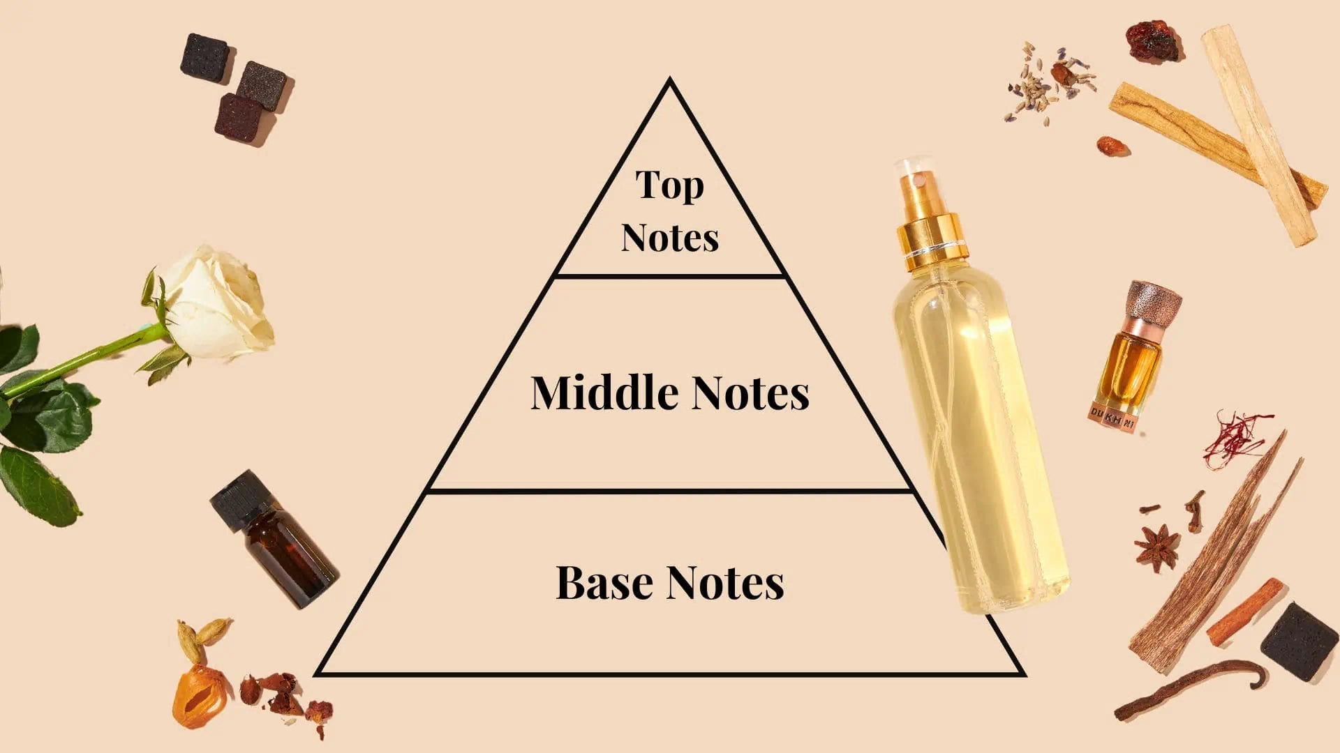 What Are the 3 Notes In Fragrances?