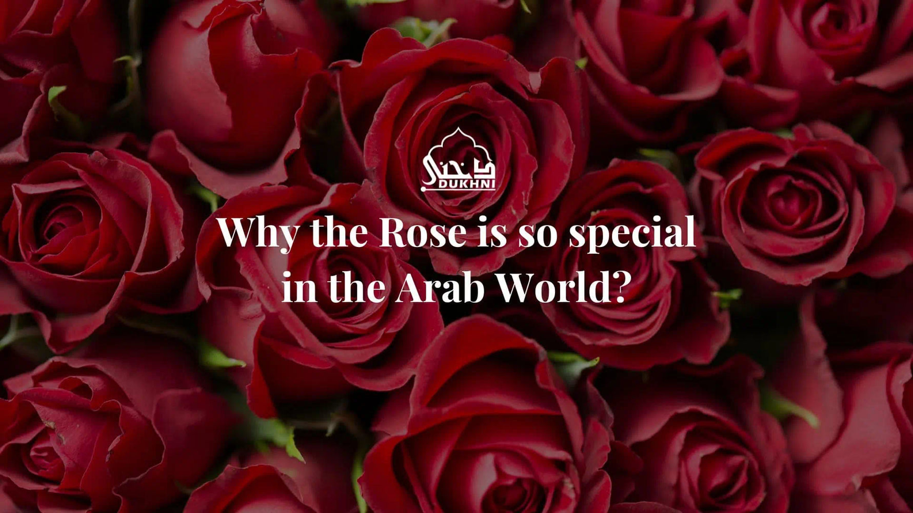 Why the Rose is so special in the Arab World?