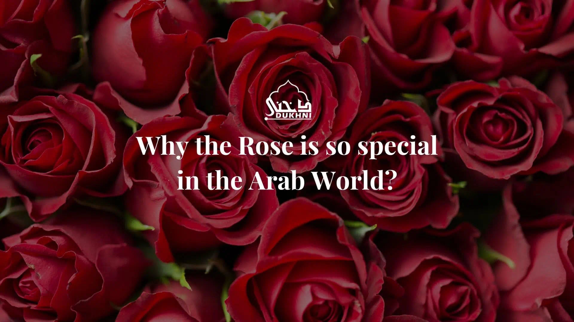 Why the Rose is so special in the Arab World?