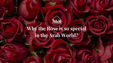 Why the Rose is so special in the Arab World?